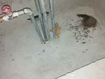 汉寿卫生间测漏水价格明细