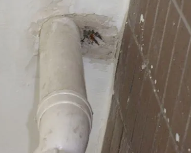 汉寿漏水检测哪家好